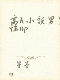 高h小说男男双性np