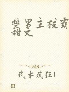 双男主校霸校园甜文