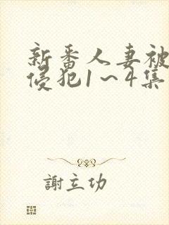 新番人妻被痴汉侵犯1～4集