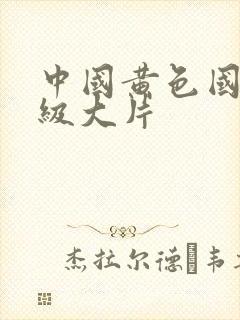 中国黄色国产一级大片