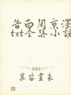 告白周京泽许随txt全集小说