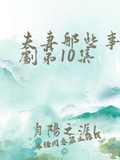 夫妻那些事电视剧第10集