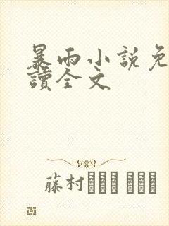 暴雨小说免费阅读全文