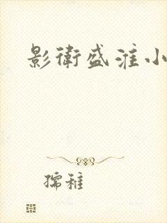 影卫盛淮小说