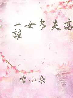 一女多夫高h小说