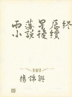 雨落星辰终成空小说后续