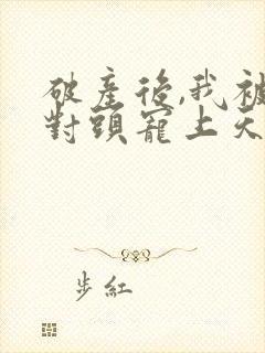 破产后,我被死对头宠上天免费下载全本