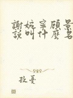 谢婉宁顾景渊小说叫什么名字啊