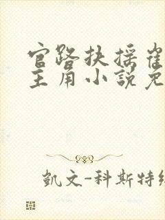 官路扶摇崔向东主角小说免费阅读全部