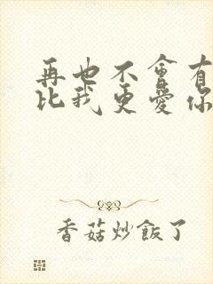 再也不会有人会比我更爱你歌词