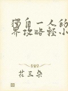 独自一人的异世界攻略轻小说