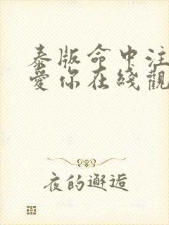 泰版命中注定我爱你在线观看免费完整版