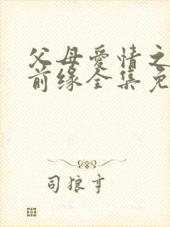 父母爱情之再续前缘全集免费观看