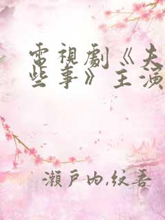 电视剧《夫妻那些事》主演