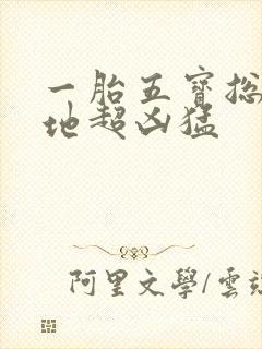 一胎五宝总裁爹地超凶猛