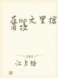 在np文里抢主角攻