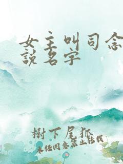 女主叫司念的小说名字