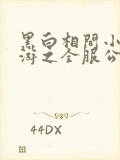 黑白相间小说网游之全服公敌