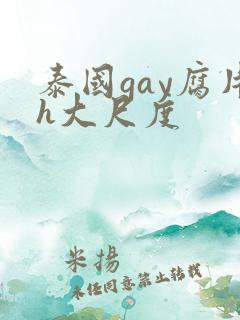 泰国gay腐片h大尺度
