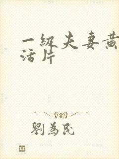 一级夫妻黄色生活片