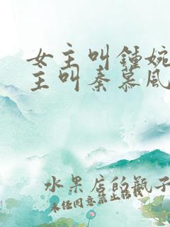 女主叫钟婉婉男主叫秦慕风的小说