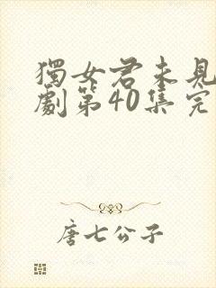 独女君未见电视剧第40集完整免费观看