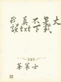 我真不是大佬小说txt下载
