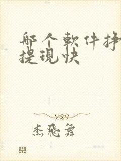 哪个软件挣钱多提现快