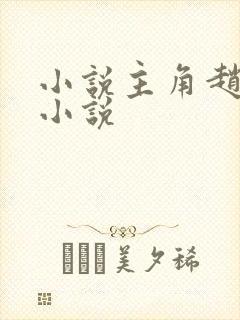 小说主角赵峰的小说