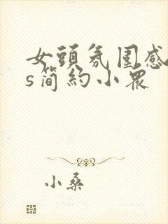 女头氛围感ins简约小众