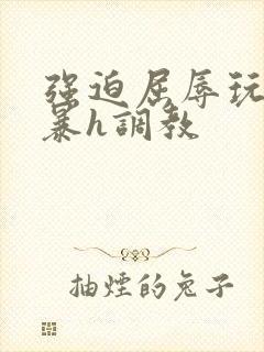 强迫屈辱玩弄粗暴h调教