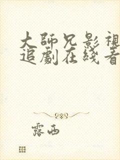 大师兄影视免费追剧在线看