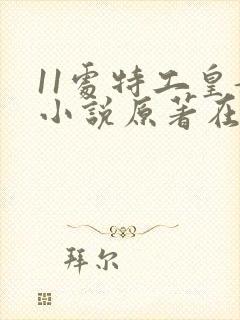 11处特工皇妃小说原著在哪里看