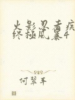 火影忍者疾风传终极风暴4