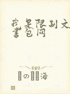 我是限制文女配书包网