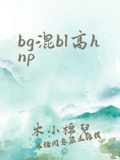 bg混bl高hnp