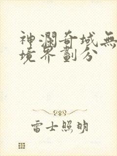 神澜奇域无双珠境界划分