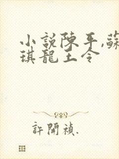 小说陈平,苏雨琪龙王令