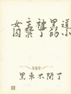 女主被黑道大佬囚禁了的小说