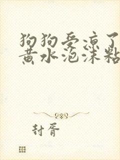 狗狗受凉了呕吐黄水泡沫粘液