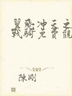 翼飞冲天之天际战骑免费观看完整版