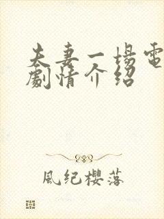 夫妻一场电视剧剧情介绍