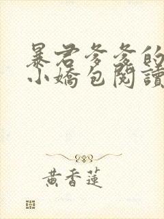 暴君爹爹的团宠小娇包阅读