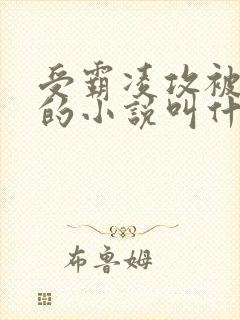 受霸凌攻被囚禁的小说叫什么