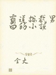 霸道总裁男主姓白的小说