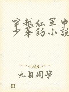 穿越红军中将徐少华的小说