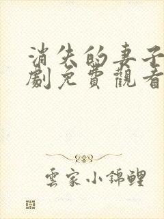 消失的妻子电视剧免费观看