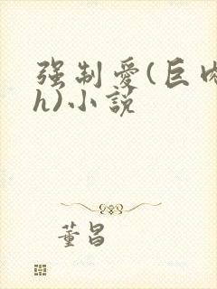 强制爱(巨肉高h)小说