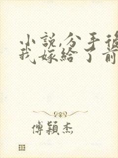 小说,分手后,我嫁给了前男友的小叔