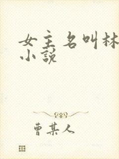 女主名叫林婉的小说